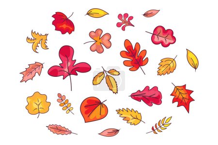 Sammlung von handgezeichneten Blättern im November. Laubblätter, Herbarium-Set. Wald orange gelb rot im letzten Jahr Blätter. Cartoon strich Skizzenvektorsymbole isoliert auf weißem Hintergrund