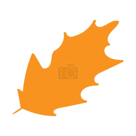 Orange color tree leaf, herbarium silhouette. Bright autumn poplar foliage flat illustration. Simple cartoon vector hand drawn isolated on white background