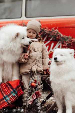 Foto de Niña celebrando Navidad y Año Nuevo vacaciones de invierno temporada al aire libre. Niño con los perros Samoyed blanco alegre pasar tiempo juntos abrazos cerca de Navidad viejo autobús - Imagen libre de derechos