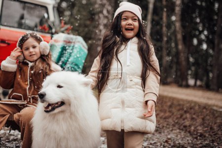 Téléchargez les photos : Petites filles asiatiques et caucasiennes passer du temps avec un chien blanc Samoyed près de bus de Noël en plein air - en image libre de droit
