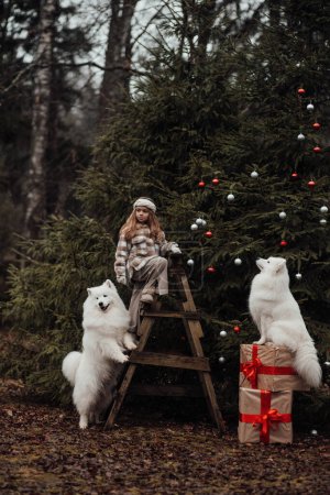 Foto de Niña celebrando Navidad y Año Nuevo vacaciones de invierno temporada al aire libre. Niña alegre pasar tiempo al aire libre con perros Samoyedo blancos cerca de autobús de Navidad disfrutando de la infancia - Imagen libre de derechos
