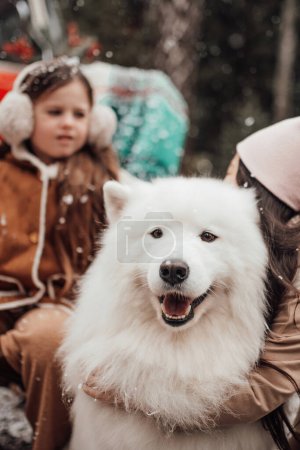 Téléchargez les photos : Petites filles asiatiques et caucasiennes passer du temps avec un chien blanc Samoyed près de bus de Noël en plein air - en image libre de droit