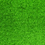 Green grass texture background grass garden concept used for making green background football pitch, Grass Golf, green lawn pattern textured background.	