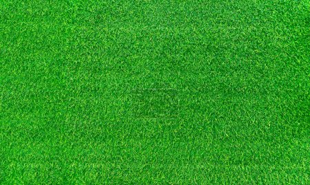 Téléchargez les photos : Green grass texture background grass garden concept used for making green background football pitch, Grass Golf, green lawn pattern textured background.. - en image libre de droit