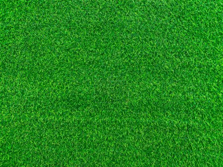 Téléchargez les photos : Green grass texture background grass garden concept used for making green background football pitch, Grass Golf, green lawn pattern textured background.. - en image libre de droit