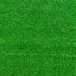 Green grass texture background grass garden concept used for making green background football pitch, Grass Golf, green lawn pattern textured background..	