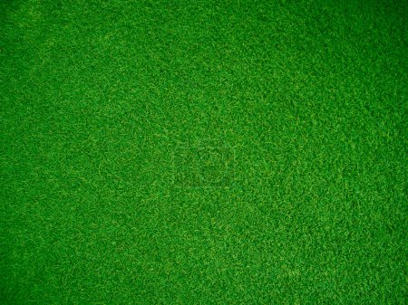 Téléchargez les photos : Green grass texture background grass garden concept used for making green background football pitch, Grass Golf, green lawn pattern textured background... - en image libre de droit