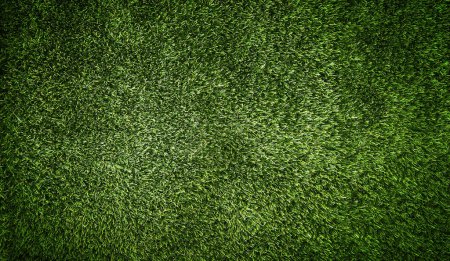 Photo for Green grass texture background grass garden concept used for making green background football pitch, Grass Golf, green lawn pattern textured background. - Royalty Free Image