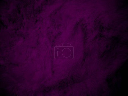 Photo for Purple clean wool texture background. light natural sheep wool. serge seamless cotton. texture of fluffy fur for designers. Fabric close up fragment violet flannel haircloth carpet broadcloth. - Royalty Free Image