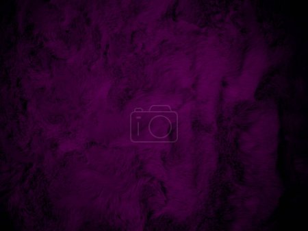 Purple clean wool texture background. light natural sheep wool. serge seamless cotton. texture of fluffy fur for designers. Fabric close up fragment violet flannel haircloth carpet broadcloth.	