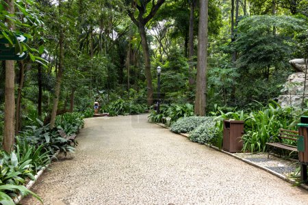 Foto de Trianon Park en la Av. Paulista en Sao Paulo, SP, Brasil. Avenida principal de la ciudad. - Imagen libre de derechos