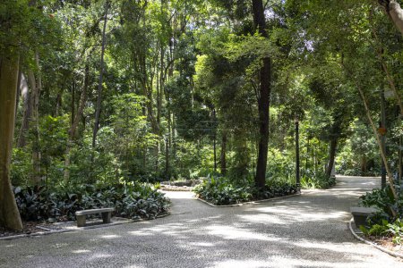 Trianon Park on Av. Paulista in Sao Paulo, SP, Brazil. Main avenue of the city.