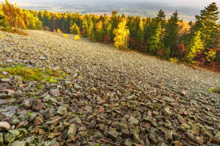 Foto de El campo más grande de rocas desnudas en las montañas Swietokrzyskie y uno de los más grandes en las tierras altas de Europa Central en el paisaje otoñal - Imagen libre de derechos