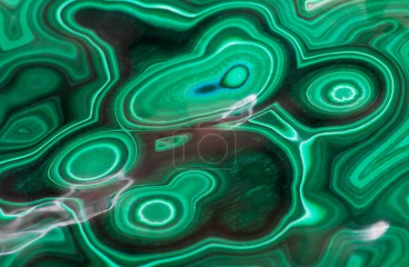 Photo for Unusual patterns of the polished malachite gemstone. Abstract green concentric structures - Royalty Free Image