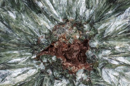 Téléchargez les photos : Coupe transversale de pierre minérale seraphinite russe avec motif de plumes - en image libre de droit