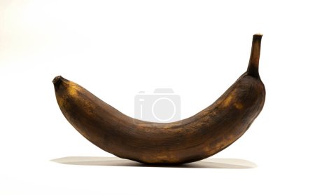 A rotten banana. A black old banana on a white background