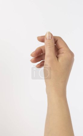Téléchargez les photos : Une belle main féminine sur fond blanc. Le concept des soins de la peau et des crèmes pour les mains - en image libre de droit