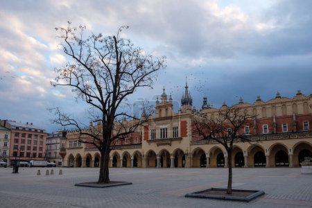 Foto de Un árbol en medio de una plaza vacía en la vieja Cracovia - Rynek Glowny - Imagen libre de derechos