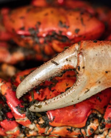 Foto de Bellos cangrejos a la parrilla muy delicioso - Imagen libre de derechos