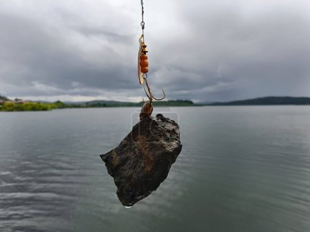 coquille vivant sur une pierre, capturée avec un appât artificiel pour attraper des poissons prédateurs