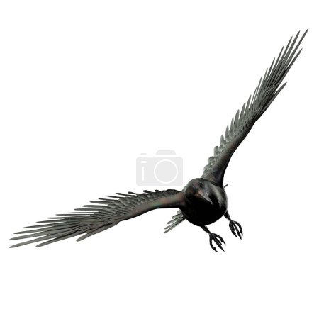 Téléchargez les photos : Corbeau noir irisé isolé sur fond blanc, Illustration 3D, rendu 3D - en image libre de droit
