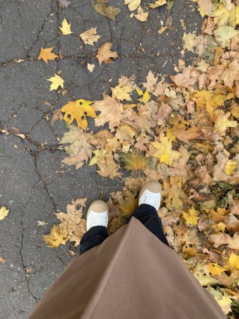 Foto de Piernas en un zapato deportivo azul, de pie sobre el amarillo de las hojas que caen en el parque de otoño. Foto de alta calidad - Imagen libre de derechos