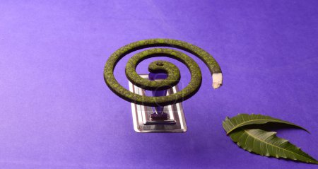 Photo for Burning mosquito coil, Mosquito coil is mosquito-repelling incense, usually shaped into a spiral, Anti mosquito and green leaves - Royalty Free Image