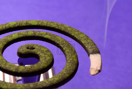 Photo for Burning mosquito coil, Mosquito coil is mosquito-repelling incense, usually shaped into a spiral, Anti mosquito - Royalty Free Image