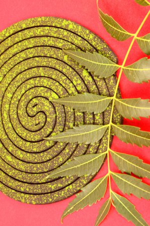 Photo for Burning mosquito coil, Mosquito coil is mosquito-repelling incense, usually shaped into a spiral, Anti mosquito and green leaf - Royalty Free Image