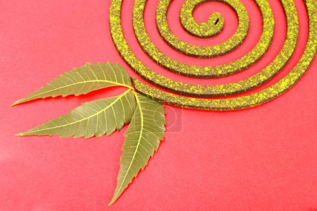 Photo for Burning mosquito coil, Mosquito coil is mosquito-repelling incense, usually shaped into a spiral, Anti mosquito and green leaf - Royalty Free Image