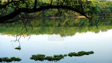 Téléchargez les photos : Belle vue sur le lac dans le parc zoologique rajiv gandhi, Pune. - en image libre de droit