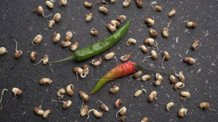 Foto de Red and green hot peppers with raw sprouted soy on a marble stone background - Imagen libre de derechos