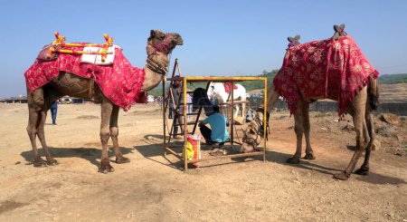 Photo for People with camels in India - Royalty Free Image