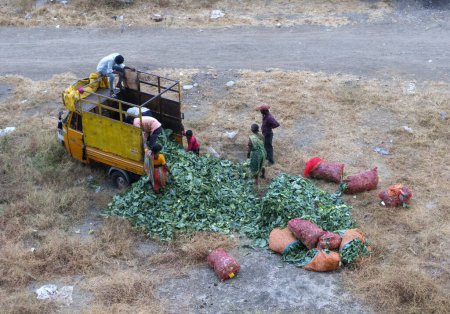 Foto de Vista superior de las personas que toman alimentos verdes desde el camión en la India - Imagen libre de derechos