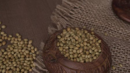 Foto de Cuenco de semillas de cilantro para cilantro en polvo, especias indias y hierbas. - Imagen libre de derechos