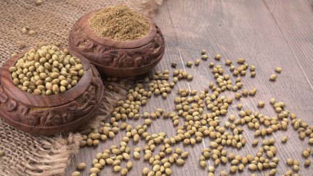 Téléchargez les photos : Bols de graines de coriandre pour poudre de coriandre, épices indiennes et herbes. - en image libre de droit