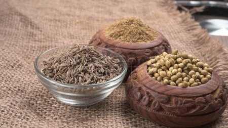 Téléchargez les photos : Bols de graines de coriandre pour poudre de coriandre, épices indiennes et herbes. - en image libre de droit