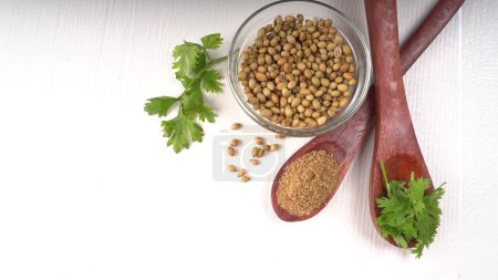 Photo for Bowl and spoon of Coriander seeds for coriander powder, Indian Spices and herbs. - Royalty Free Image