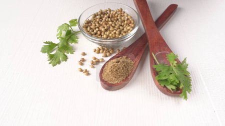 Photo for Bowl and spoon of Coriander seeds for coriander powder, Indian Spices and herbs. - Royalty Free Image