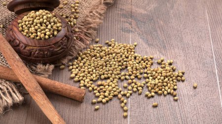 Téléchargez les photos : Bol de graines de coriandre pour poudre de coriandre, épices indiennes et herbes. - en image libre de droit