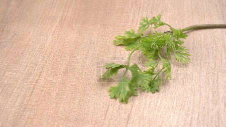 Foto de Semillas secas de cilantro con cuchara de bambú pequeña y hojas frescas de cilantro verde, ingredientes de especias famosas en la cocina de Asia. - Imagen libre de derechos