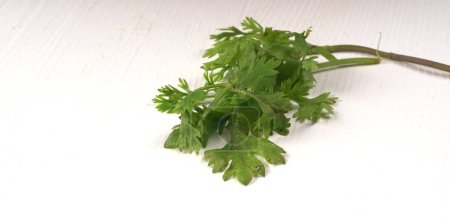 Foto de Paquete de hojas frescas de perejil o cilantro sobre fondo blanco - Imagen libre de derechos