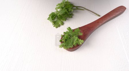 Foto de Semillas de cilantro seco con cucharas de bambú pequeñas y hojas de cilantro frescas verdes, ingredientes de especias famosas sobre fondo blanco - Imagen libre de derechos
