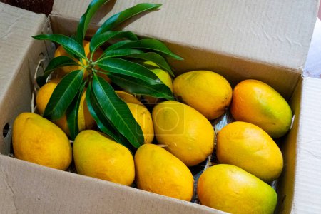 Reife gelbe Mango in Holzkiste