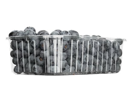 Fresh blueberries in a plastic container, isolated on a white background. The file contains a clipping path. Useful berries to strengthen immunity, food for a raw food diet
