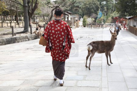 Foto de Nara, Japón - 14 de marzo de 2013: NARA - Mujer asiática en Kimono con un ciervo en Nara Park, Japón - Imagen libre de derechos