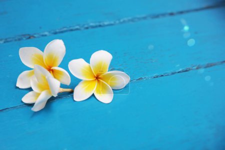 Photo for Cultural Heritage of Indonesia Fragrant Plumeria Flowers on Wooden Table Centerpiece - Royalty Free Image