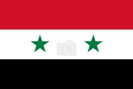 Illustration for Syria flag, national official symbol. vector illustration - Royalty Free Image