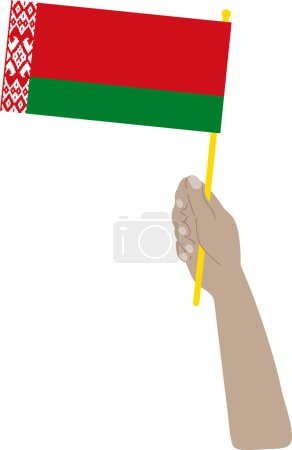 Téléchargez les illustrations : Main tenant un drapeau national de belarus. illustration vectorielle. - en licence libre de droit