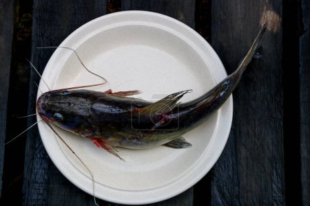 Freshly caught catfish on a crockery plate and timber slatted boardwalk in a jungle village location in Sarawak Malaysia